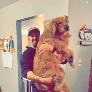 Meet your Posher, Dylan